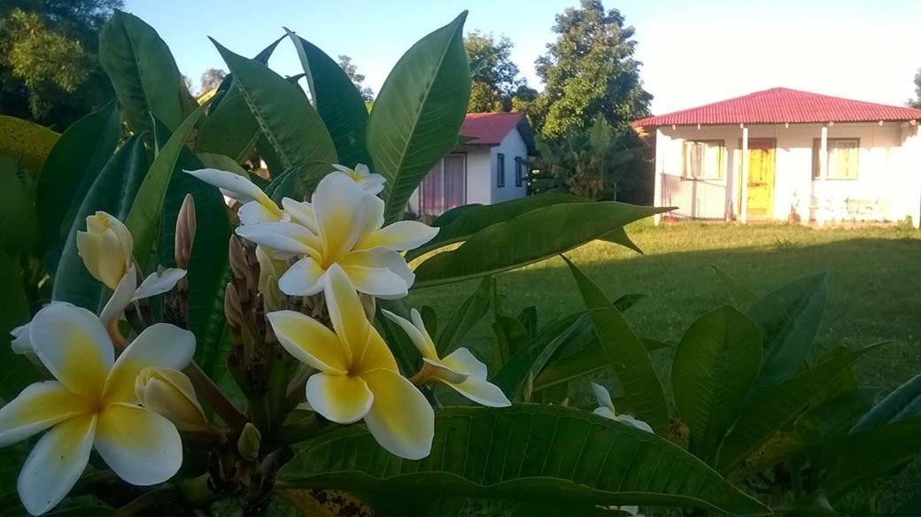 Cabanas Isla De Pascua Hanga Roa Kültér fotó